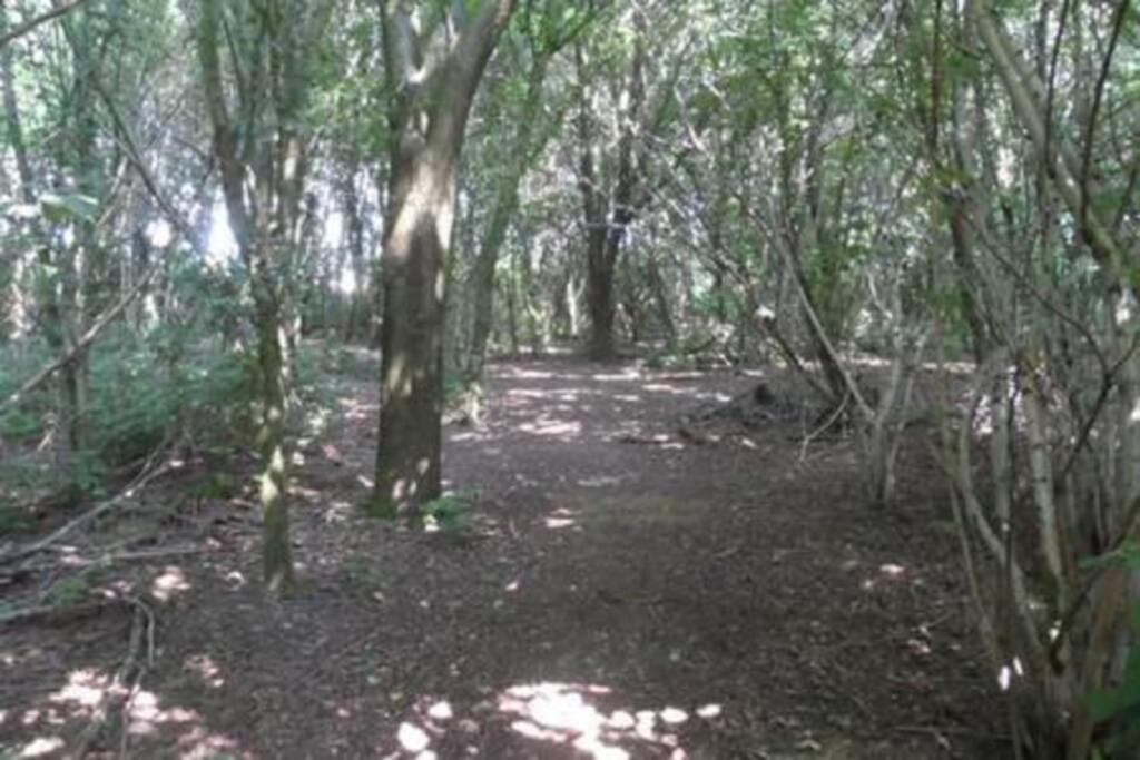 זייוולדה Vakantiehuis Horsterwold מראה חיצוני תמונה